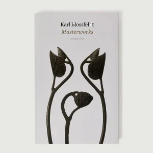 LIVRE 'KARL BLOSSFELDT : MASTERWORKS'