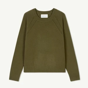 Pull col rond pointelle
