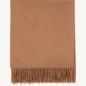 Echarpe classique EB