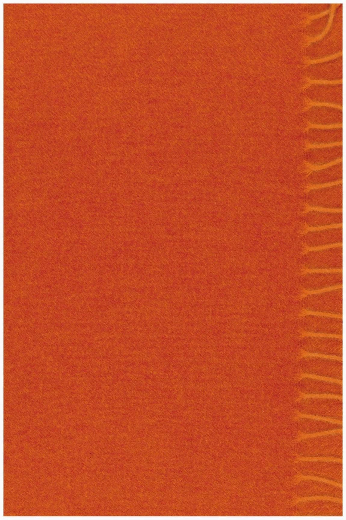 100% CASHMERE 2-TONE WOVEN SCARF. 41004/16 BIC – Image 3